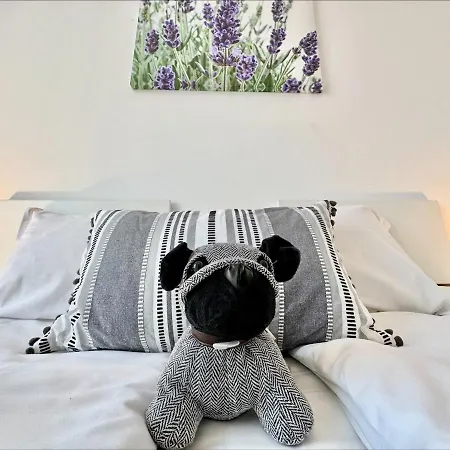 Apartmán Menada Rainbow Sluneční pobřeží