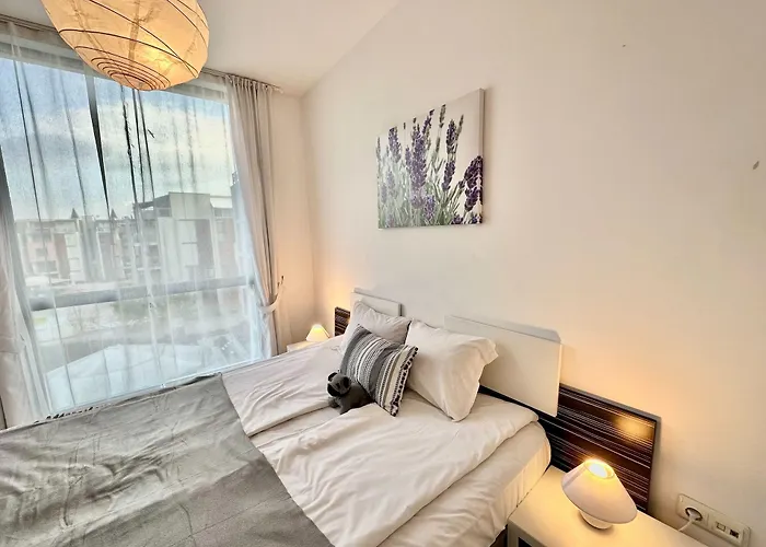 Menada Rainbow * Słoneczny Brzeg