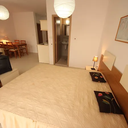 Menada Rainbow Daire